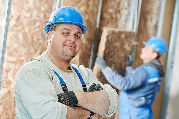 Best Insulation Removal  in Geneva, NY