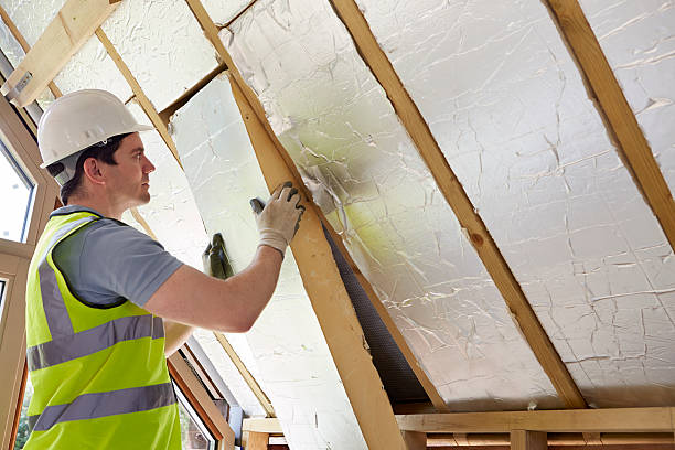 Best Professional Insulation Contractor  in Geneva, NY