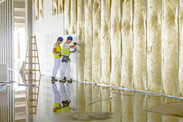 Best Insulation for New Construction  in Geneva, NY